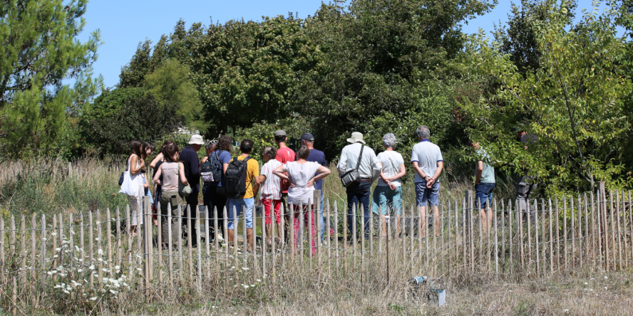 © Nicolas Macaire / LPO